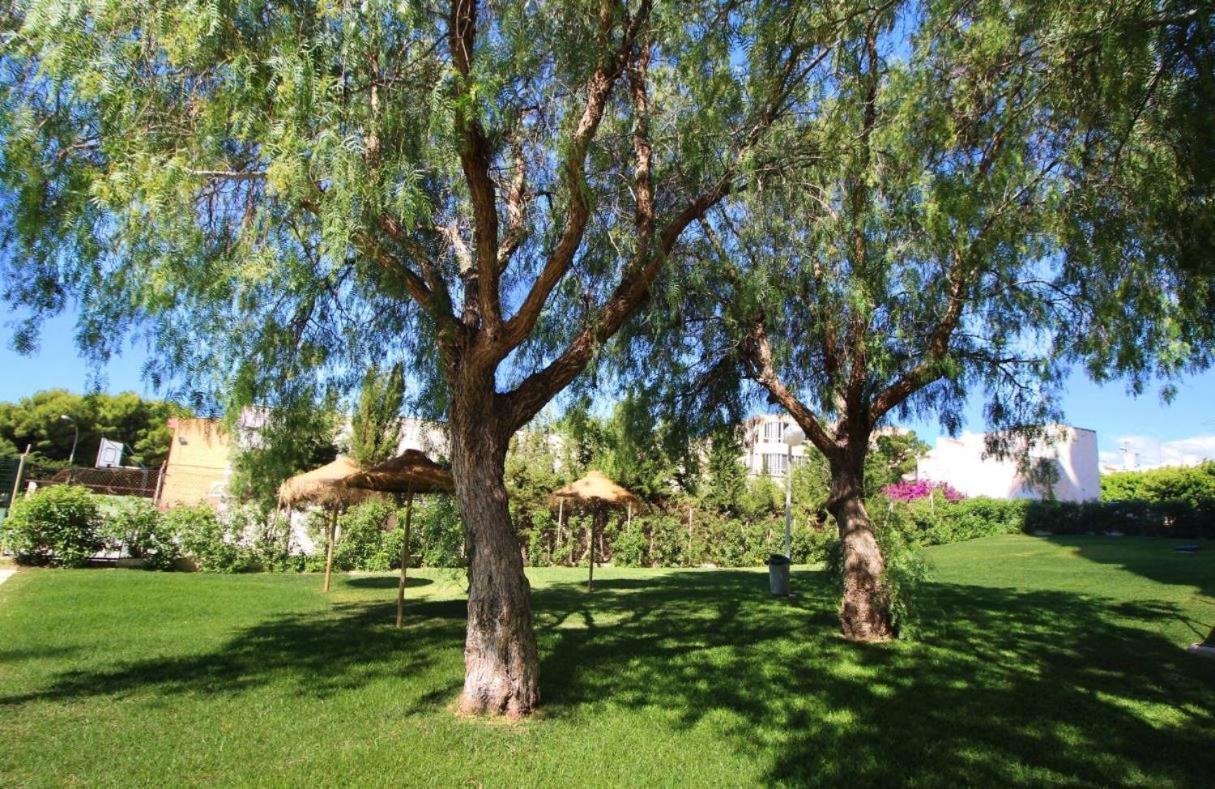 Sweetwater Home - Apartamento Ideal Para Tus Vacaciones El Campillo del Moro 외부 사진